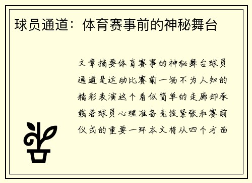 球员通道：体育赛事前的神秘舞台