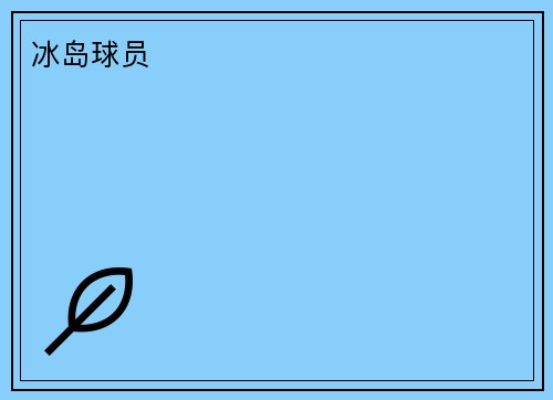 冰岛球员
