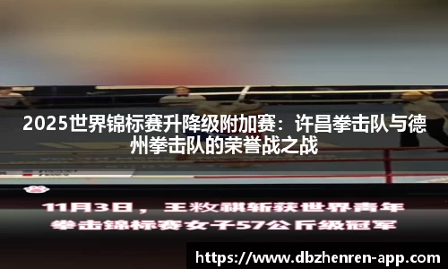 2025世界锦标赛升降级附加赛：许昌拳击队与德州拳击队的荣誉战之战
